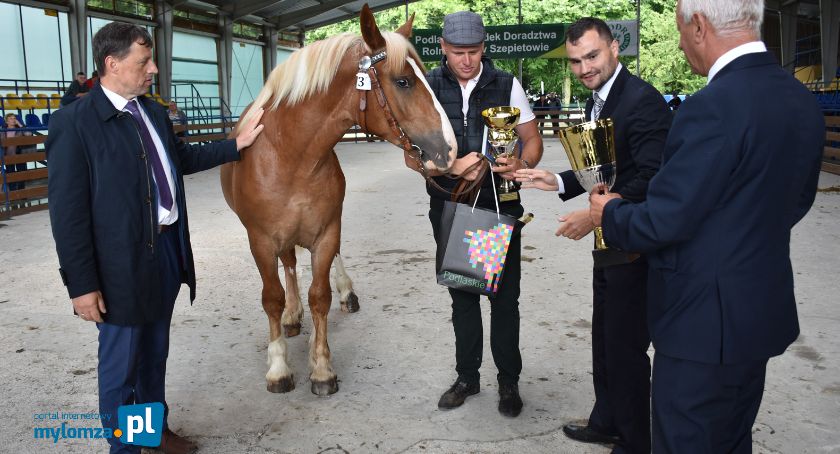 Podlaski Dzień Pola w PODR Szepietowo [FOTO]