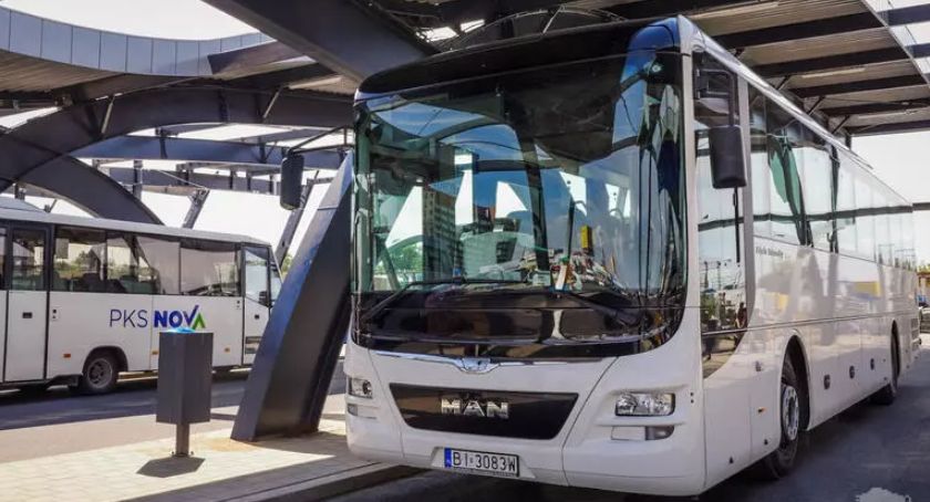 Wraca dziewięć linii autobusowych