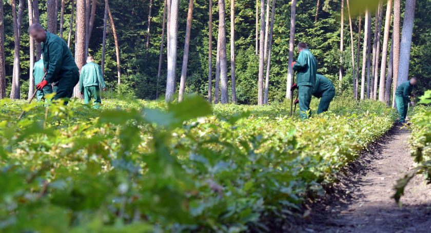 Osadzeni pracują. Co robią i ile zarabiają?
