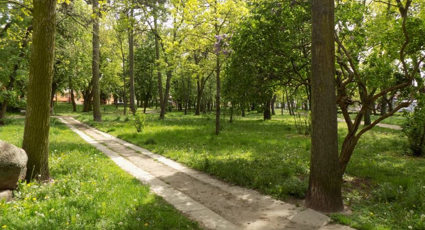 Ptasie odchody i pierze w łomżyńskich parkach. Ile kosztuje i jak wygląda walka z kawkami i gawronami?