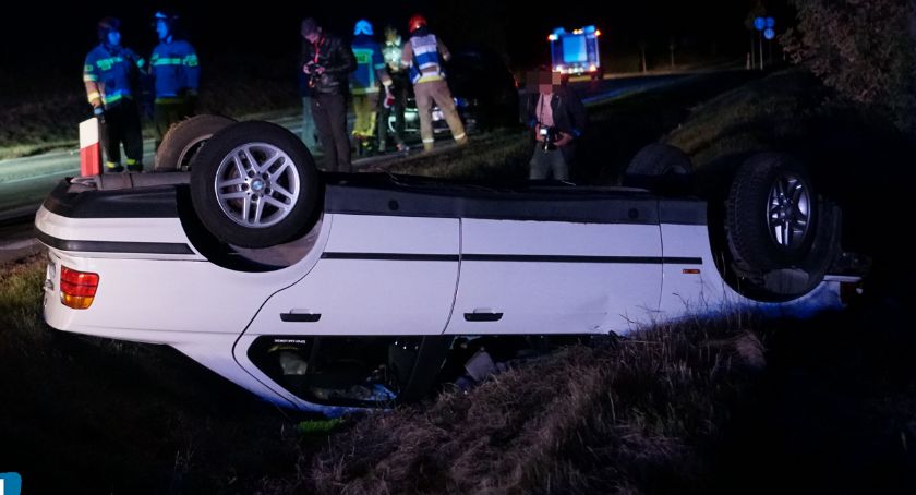 DK61: Łoś uszkodził dwa samochody i... uciekł [FOTO]