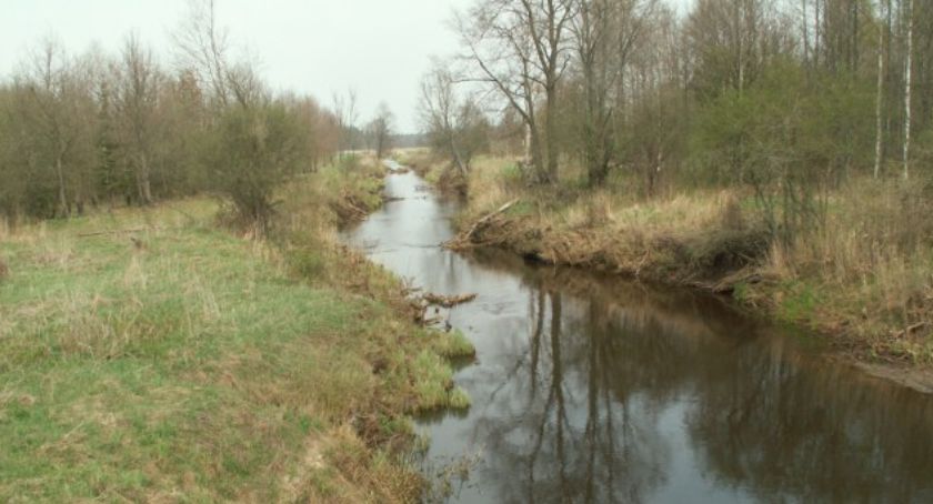 Rzeka Narewka. Dwie osoby utknęły na bagnach [VIDEO]