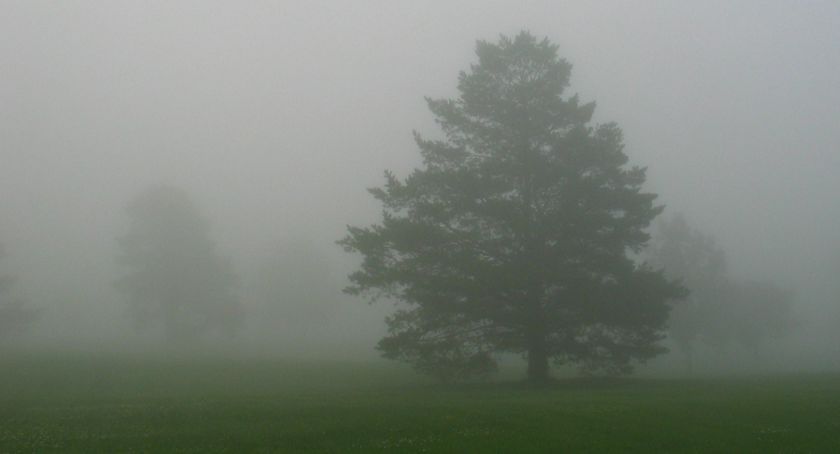 Pogoda na weekend. Synoptycy ostrzegają przed gęstą mgłą [AKTUALIZACJA]