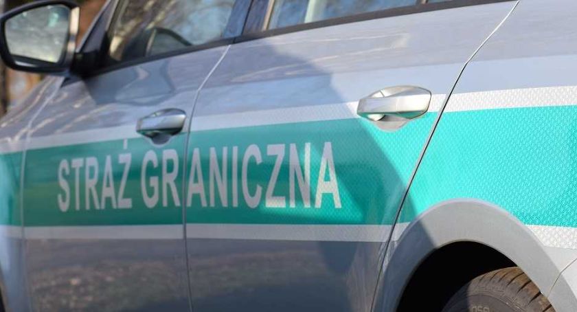 Klon na polsko-białoruskiej granicy. Ujawnili go strażnicy