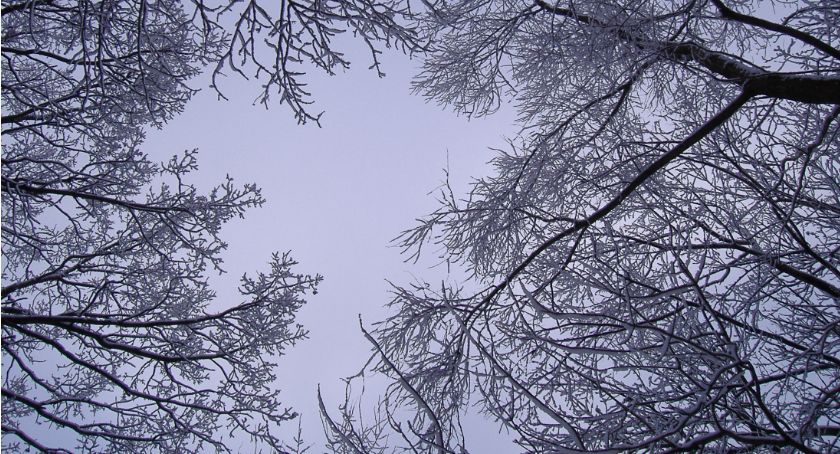 Pogoda na nowy tydzień
