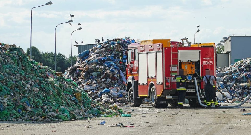 Czartoria. Odpady w lasku za wysypiskiem. Winny jest wiatr