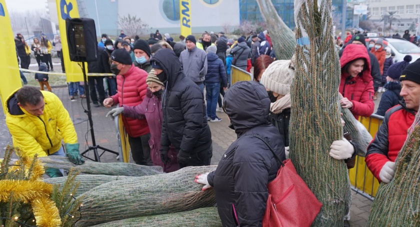 „Choinki pod choinkę” w Łomży. RMF FM rozdało 500 drzewek [FOTO, VIDEO]
