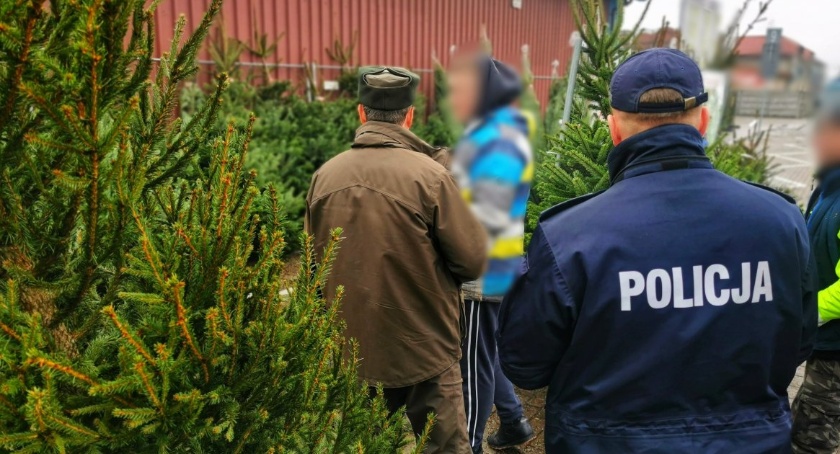 Policja i straż leśna sprawdzają legalność sprzedawanych choinek