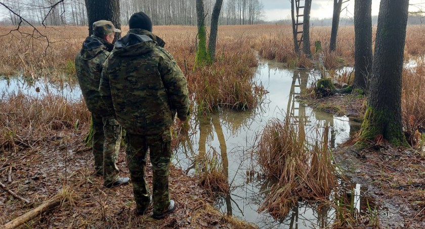 Obywatel Egiptu przekroczył granicę. Utknął na bagnach w rozlewisku Narwi