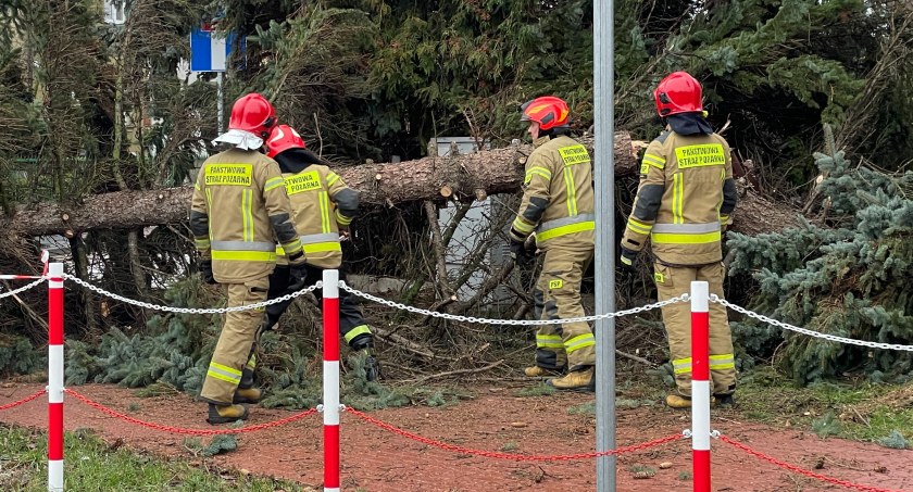 Silny wiatr narobił szkód w Łomży i regionie [FOTO]