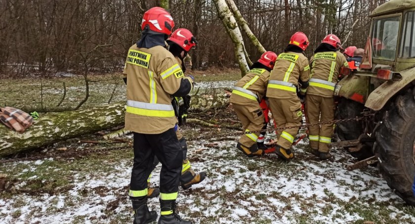 Wypadek przy wycince drzew [FOTO]
