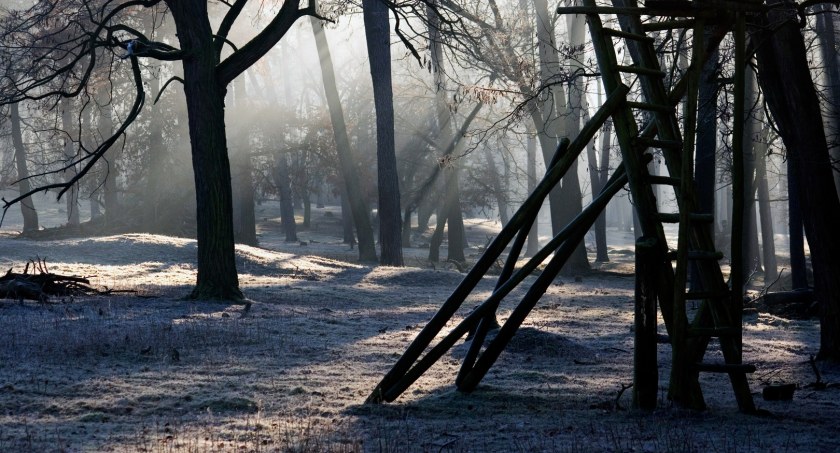 To będzie mroźna noc i poranek. Nawet -15°C w nocy!