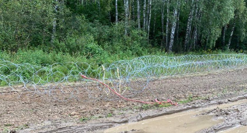 Na granicy niszczyli zasieki z drutu kolczastego. Sprawa trafiła do łomżyńskiej prokuratury