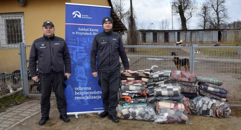 Koce dla bezdomniaków. Więziennicy pomogli łomżyńskiemu schronisku [FOTO]