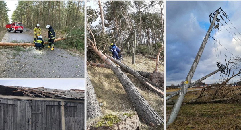 Strażacy i brygady elektromonterskie walczą ze skutkami silnego wiatru [FOTO i VIDEO]