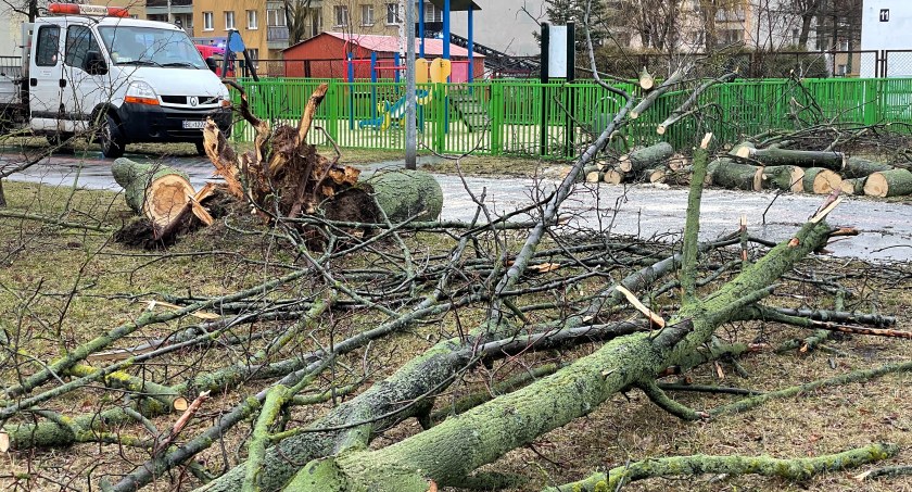 Wielkie sprzątanie po wichurach [FOTO]