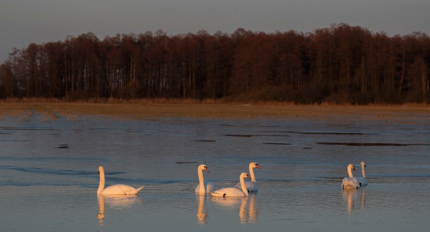 Pogoda na weekend. Trochę deszczu, trochę wiatru