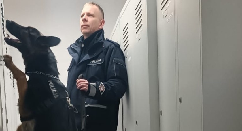 Policjanci szkolili psy służbowe