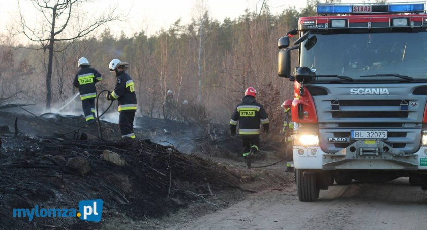 Pożar bel w Poniacie i traw w Piątnicy
