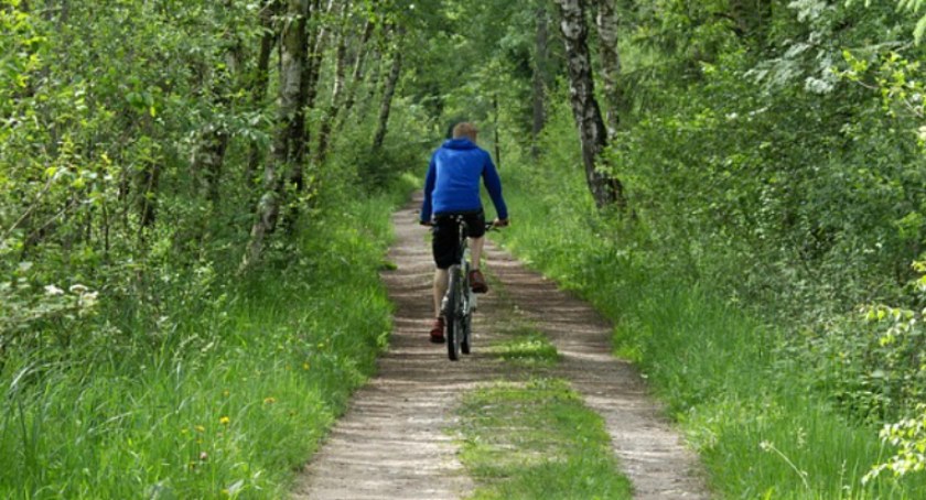 Kradzieże rowerów. Tylko kilka z nich udało się odzyskać