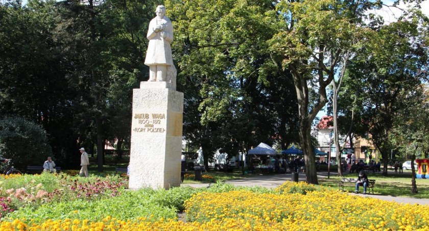 Miasto usuwa i sadzi drzewa. W jakiej ilości i gdzie?