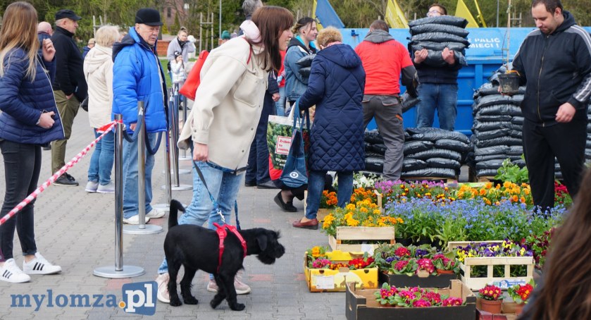 Ekologia za sadzonkę. Trwa piknik przy Parku Wodnym w Łomży [FOTO]