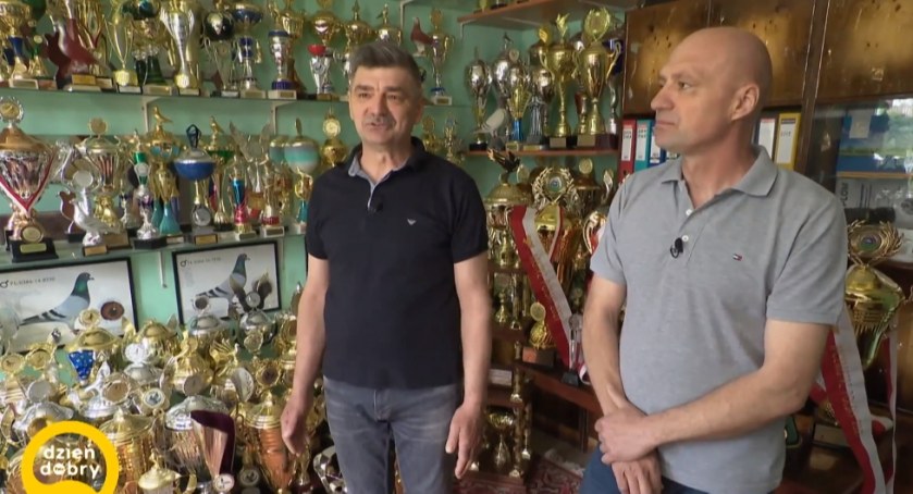 Z sukcesami hodują gołębie. O swojej pasji opowiedzieli w ogólnopolskiej telewizji