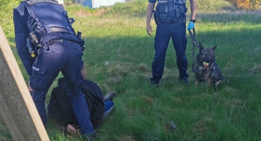 Pijany ukrył się w krzakach! Znalazł go pies Muflon