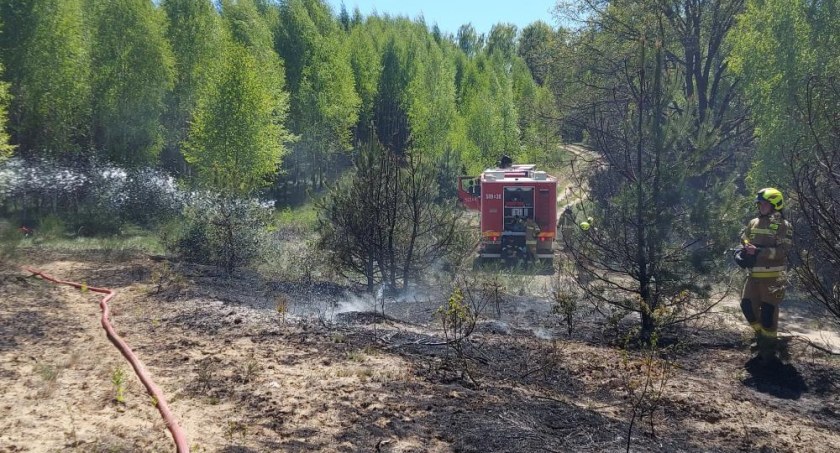 Spłonął 15-letni las. Potrzebny był samolot gaśniczy [FOTO]