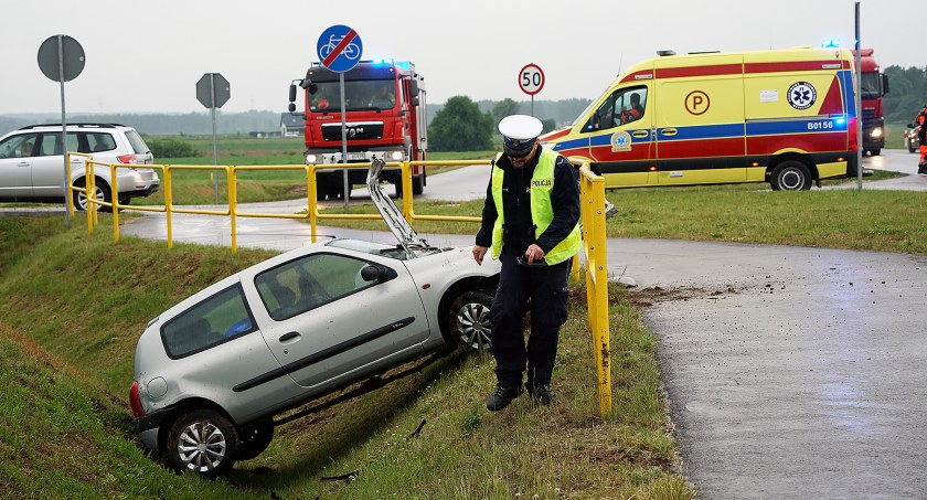 Kobieta straciła kontrolę nad autem. Jeden z czworonożnych pasażerów nie przeżył [FOTO]