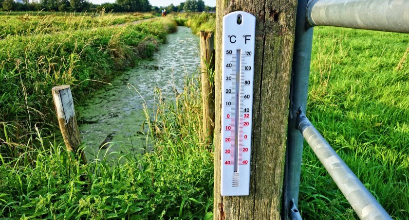 Pogoda na nowy tydzień 