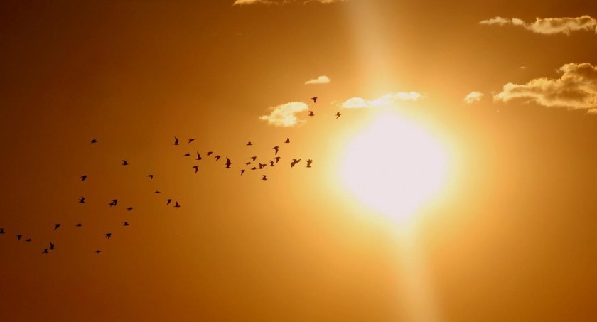 Będzie cieplej. Prognoza na nowy tydzień
