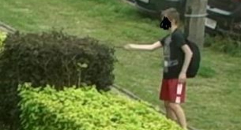 Młody wandal nie zgłosił się do spółdzielni. ŁSM ponawia 