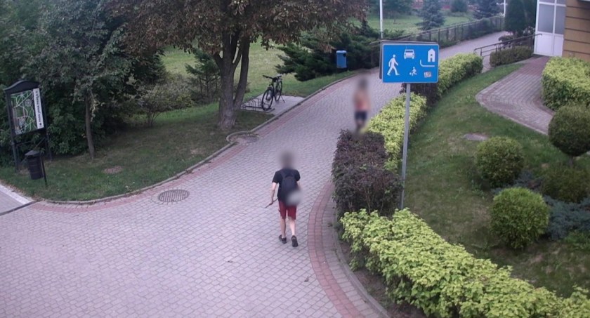 Policja namierzyła wandala. Chłopiec niszczył rośliny