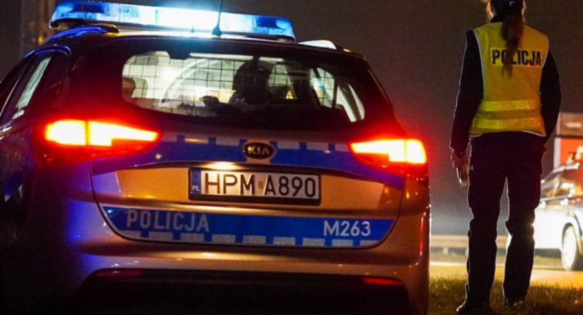 Samochód zderzył się z łosiem