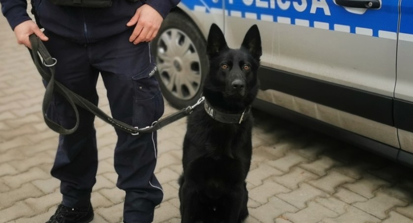 Nowy funkcjonariusz w łomżyńskiej policji