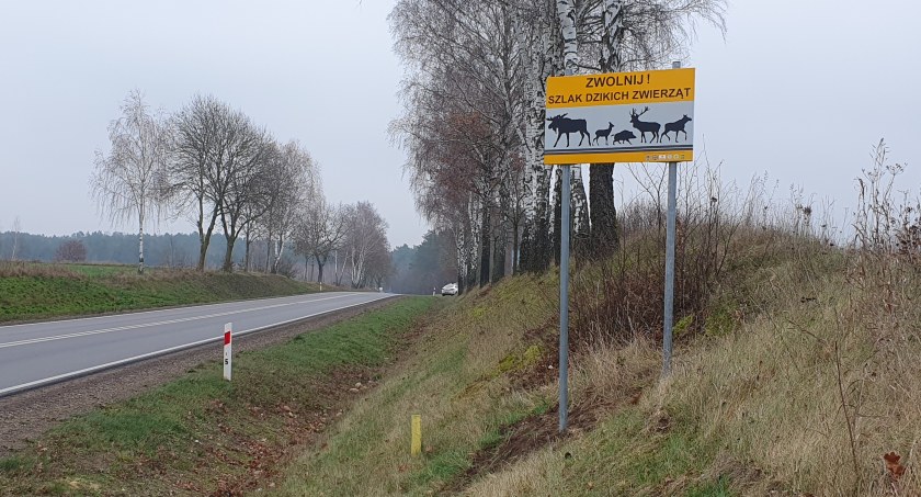 Nowe znaki na drodze Łomża – Wizna. Kierowcy powinni zachować szczególną ostrożność [FOTO]