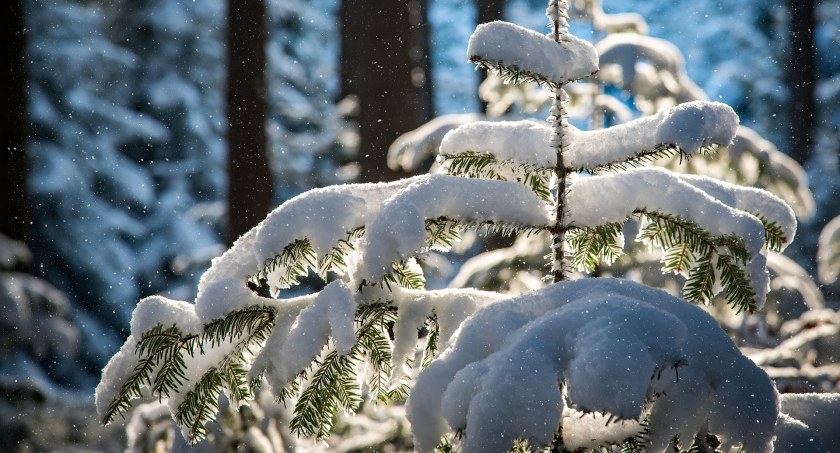 Synoptycy zapowiadają opady śniegu. Prognoza na weekend