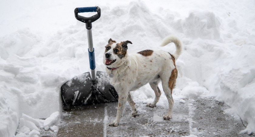 Prognoza pogody na nowy tydzień