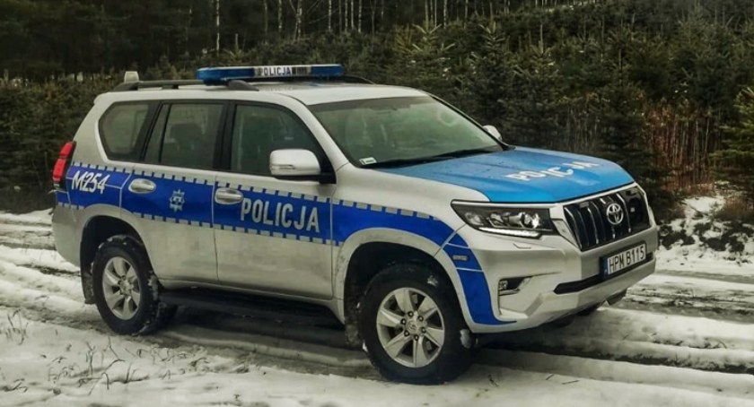 Stop nielegalnej wycince choinek. W regionie trwają kontrole