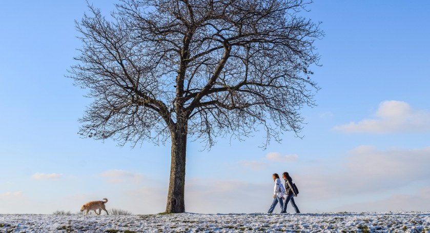 Prognoza pogody na pierwszy tydzień stycznia