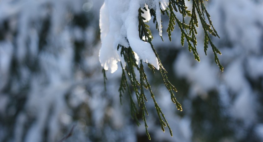 Prognoza pogody na nowy tydzień