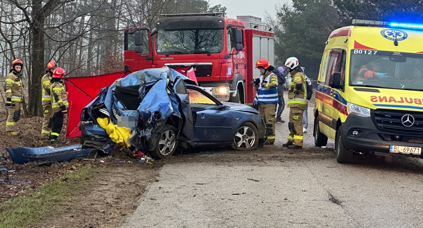 Osobówka uderzyła w drzewo. Kierowca zginął na miejscu [FOTO]