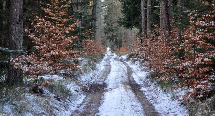 Prognoza pogody na nowy tydzień