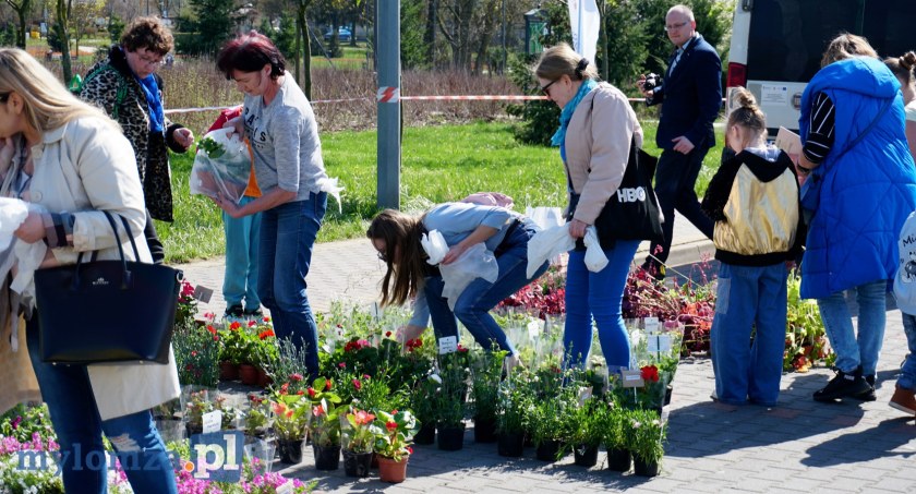 Ekologia za sadzonkę w Łomży. Chętnych nie brakowało! [VIDEO i FOTO]