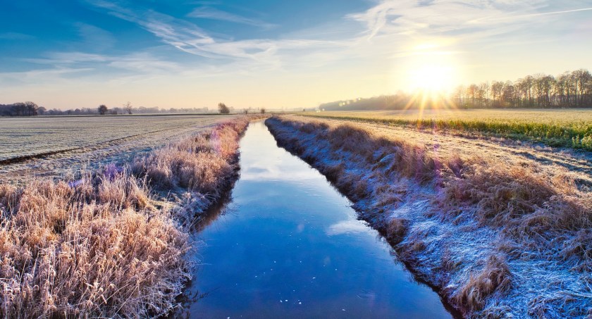 Kolejna noc z przymrozkami! Nawet -6°C przy gruncie