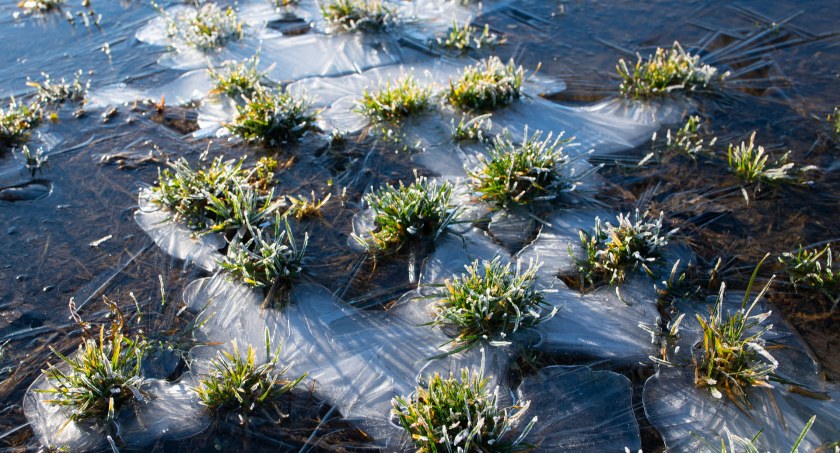 Nawet -6°C w nocy. Synoptycy ostrzegają