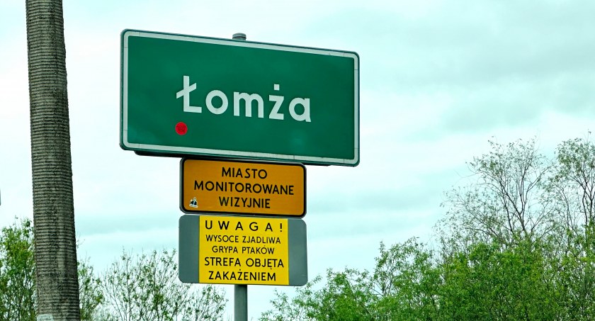 Wysoce zjadliwa grypa ptaków pod Łomżą. Znamy nakazy i zakazy