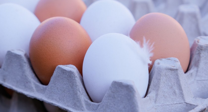 GIS ostrzega:  Salmonella na powierzchni skorupek jaj konsumpcyjnych [FOTO]