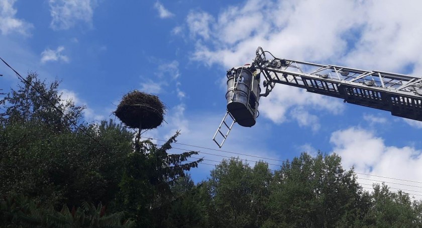 Strażacy interweniowali do zaplątanego w sznurek bociana [FOTO]